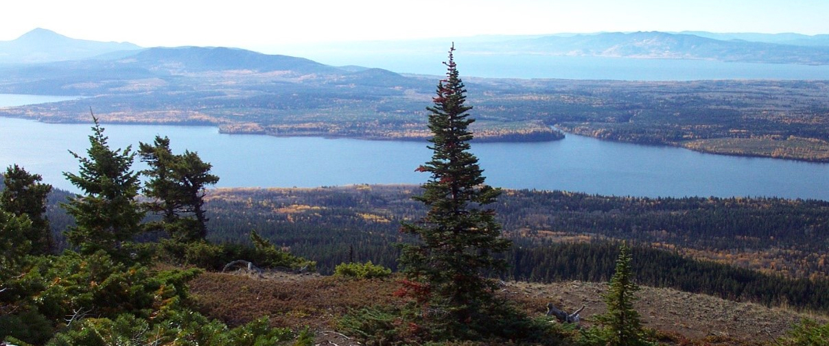 John Prince Research Forest lookout point.