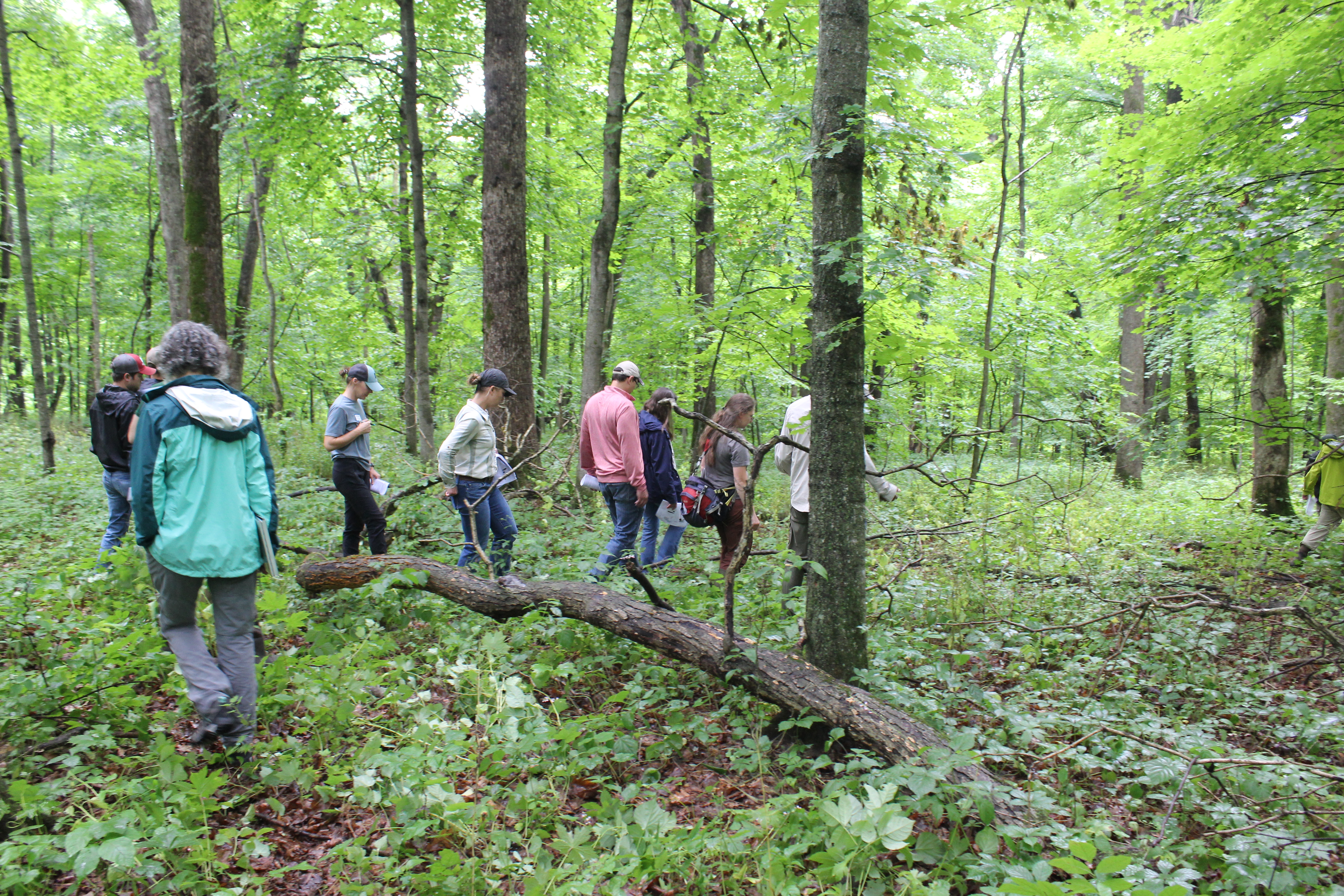 Tour of the Driftless Area, ASCC site