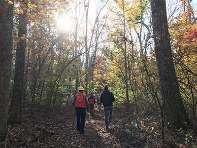 Mohegan State Forest Field Visit