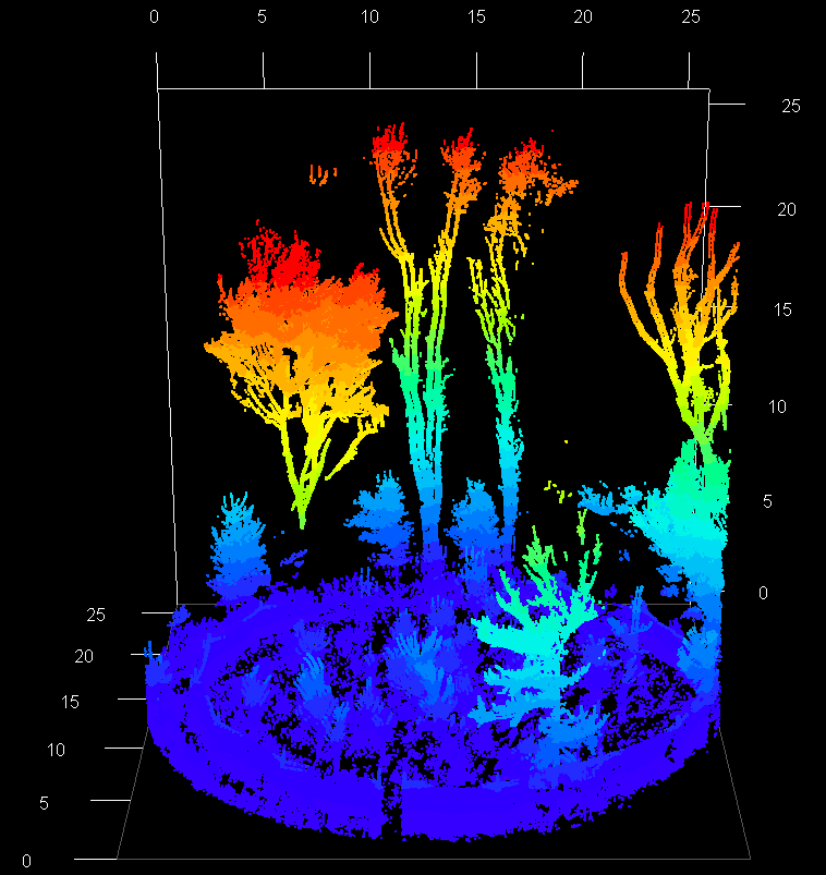 Processed 10 meter radius point cloud for plot 2. Photo: Auste Eigirdas