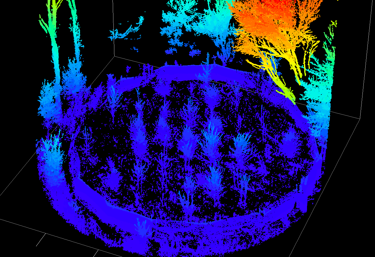 Enlarged image of processed point cloud for plot 2. Photo: Auste Eigirdas