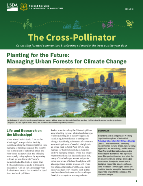 The Cross-Pollinator 