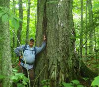 Kevin Evans - Dartmouth College Director of Woodlands