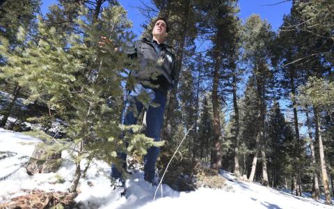 The Gazette article featuring Mike Battaglia, USDA Forest Service Research Forester. Photo Credit: Jerilee Bennett, The Gazette