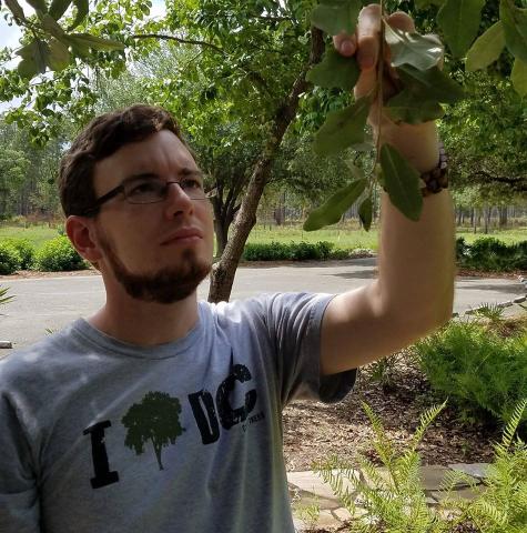 Sean Reynolds (MS graduate, Auburn University) conducted his thesis research on the physiological responses of turkey oak (Quercus laevis Walt.) seedlings to overstory trees in the ASCC transition plots at The Jones Center at Ichauway. 