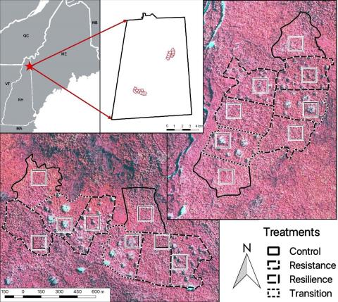 Spatial plot locations (squares) within New England Adaptive Silviculture for Climate Change installation at Dartmouth College Second College Grant, NH. Map created by Jess Wikle, University of Vermont.