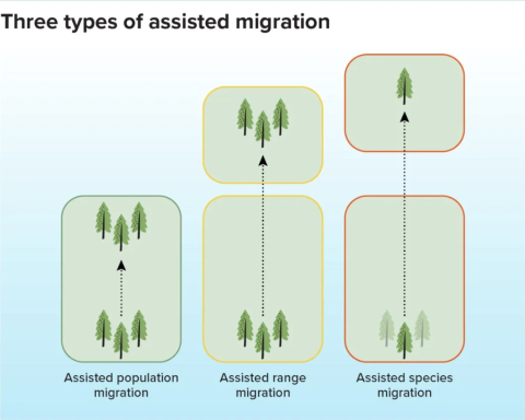 A figure of assisted migration