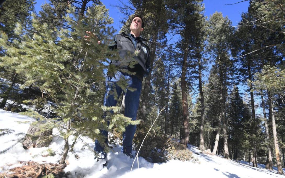 The Gazette article featuring Mike Battaglia, USDA Forest Service Research Forester. Photo Credit: Jerilee Bennett, The Gazette