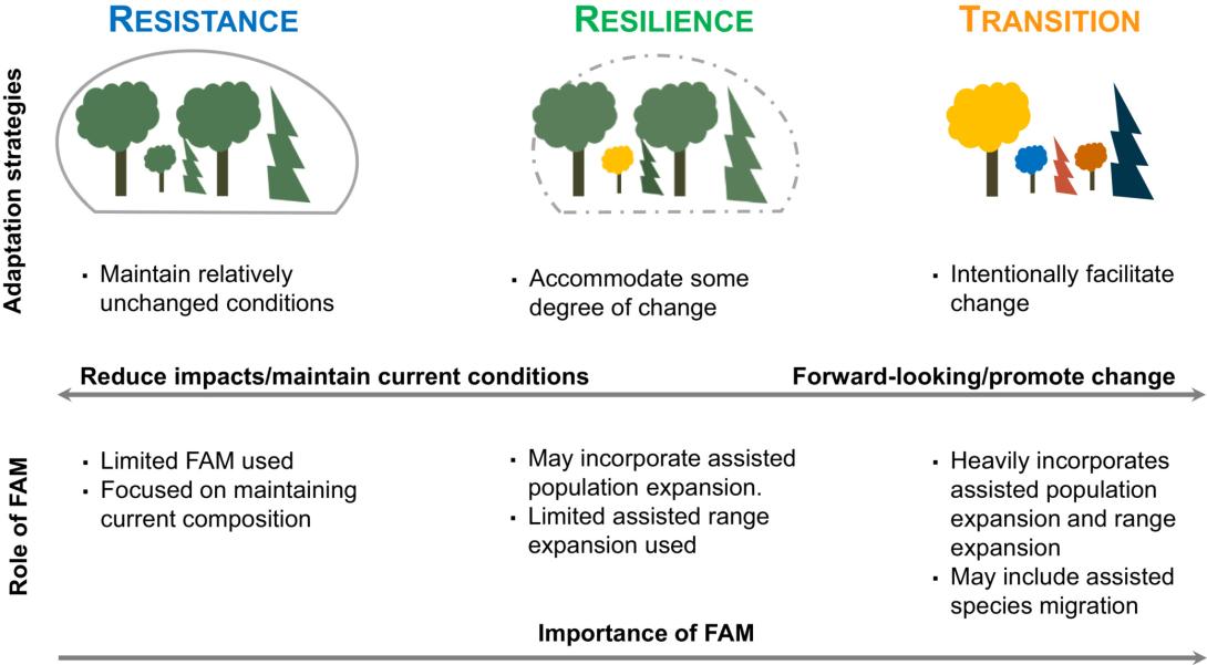 Figure 1 from Palik et al. 2022, Forest-assisted migration (FAM) as part of climate adaptation strategies. The role of FAM increases with degree of change in forest conditions. Redrawn and adapted from Millar et al. (2007), Swanston et al. (2016), and Nagel et al. (2017).